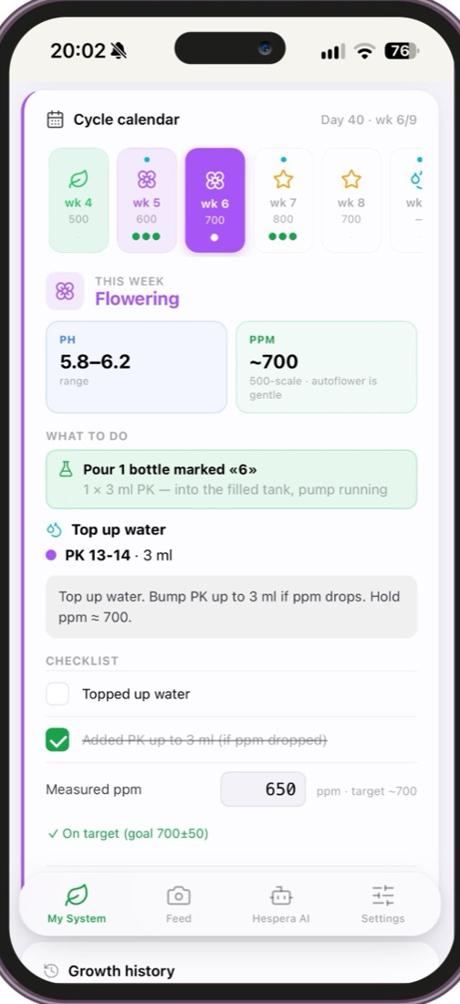 Hespera app — weekly checklist